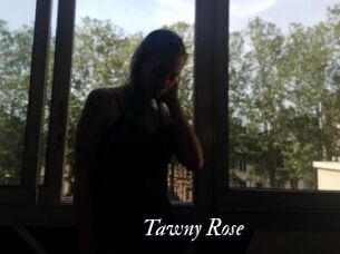 Tawny_Rose