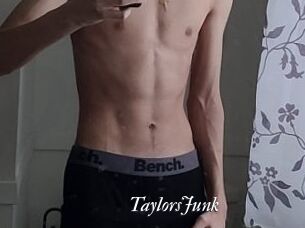 TaylorsJunk
