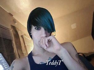TeddyT Partouze