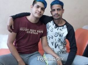 Tegusta29xx