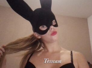 Tesscam
