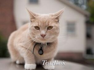 TestAlaric