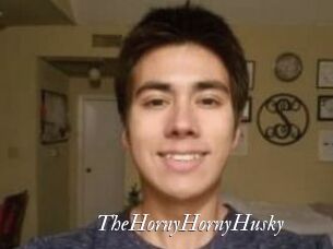 TheHornyHornyHusky