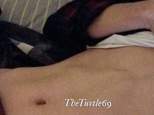 TheTurtle69
