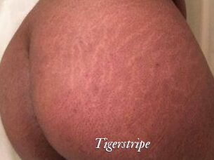 Tigerstripe