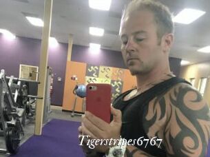 Tigerstripes6767