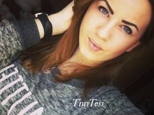 TinyTess