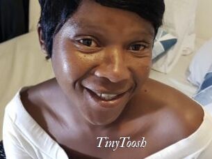 TinyToosh