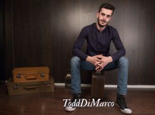 ToddDiMarco