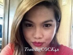 TransBigCOCK4u