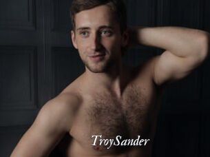 TroySander