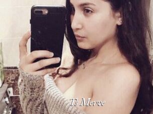 Ts_Merve