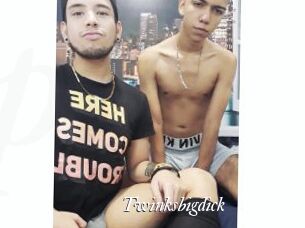 Twinksbigdick