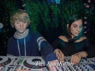 Two_SpicyKitties