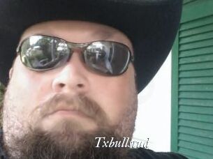Txbullstud
