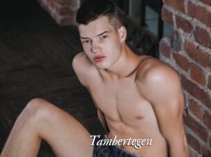 Tambertegen