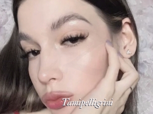 Tamipelligrini