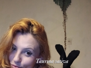 Taurina_sativa