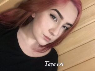 Taya_exe