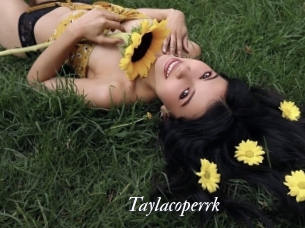 Taylacoperrk