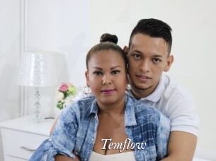 Temflow