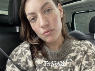 Terifinish