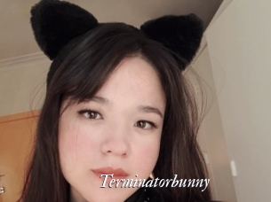 Terminatorbunny