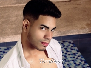 Terrybounce