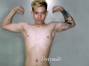 Terrymills