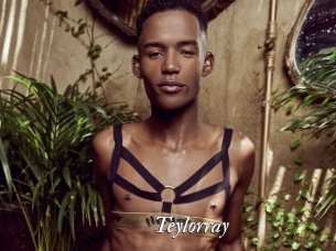 Teylorray