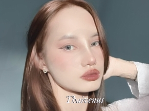 Thaivenus