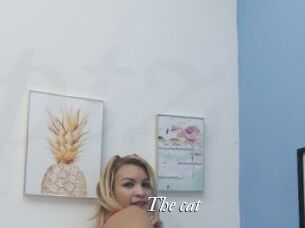 The_cat