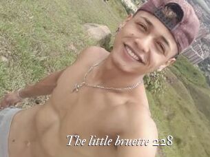 The_little_bruette_228