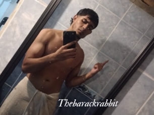 Thebarackrabbit