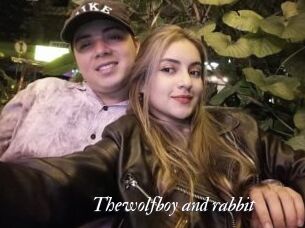 Thewolfboy_and_rabbit