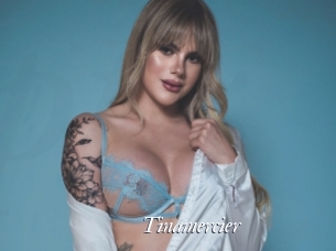 Tinamercier