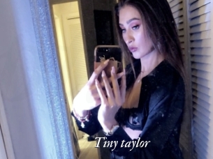 Tiny_taylor