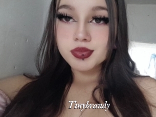 Tinybrandy