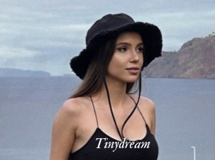 Tinydream