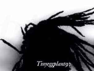 Tinyeggplant93