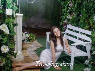 Tremblingsakura