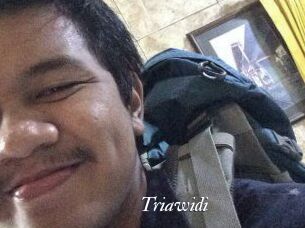 Triawidi