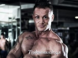 Tridentmuscles4u