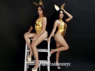 Twohotbunnys