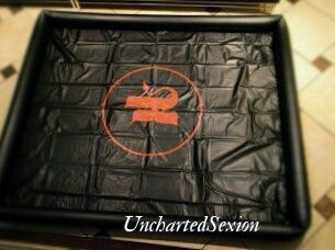 UnchartedSexion