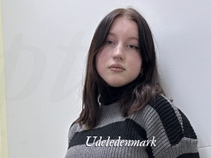 Udeledenmark
