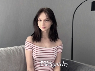 Udelegateley