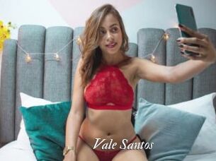 Vale_Santos