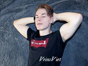 VeinsViet