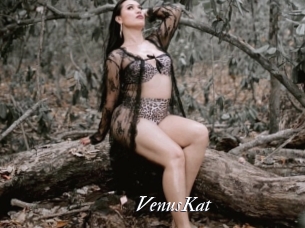 VenusKat